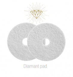 Diamant Pad Wit 12 Inch, 307 X 22 Mm Stap 1